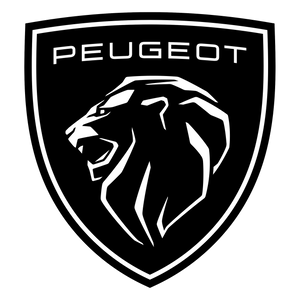 Peugeot silicone hoses
